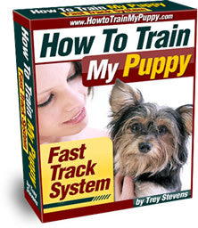 Puppy Training Fast Track System - Grand Opening - Training Leash Included