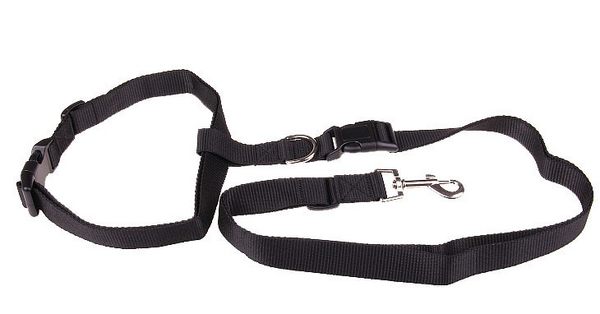 Hands Free Dog Leash