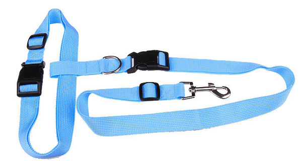 Hands Free Dog Leash