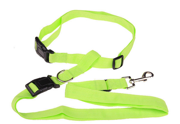 Hands Free Dog Leash