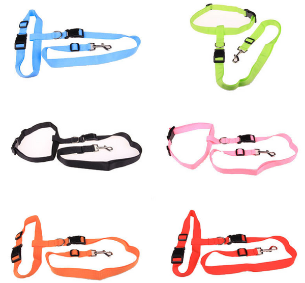 Hands Free Dog Leash