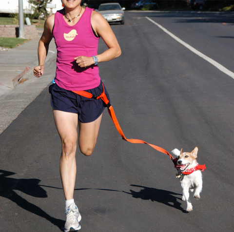 Hands Free Dog Leash