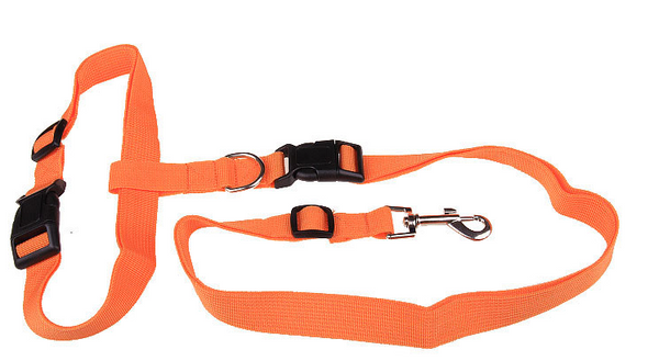Hands Free Dog Leash