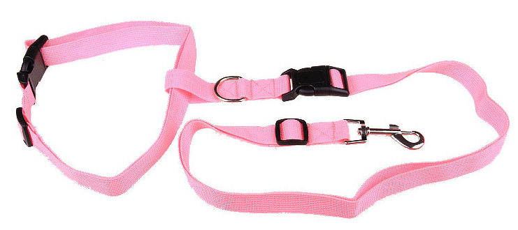 Hands Free Dog Leash