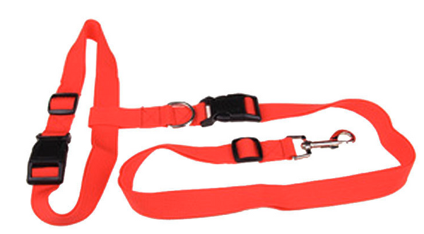 Hands Free Dog Leash