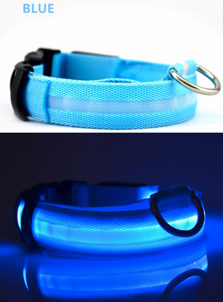 Compawions Doggy Beacon Collar™ - Limited Time - FREE Shipping