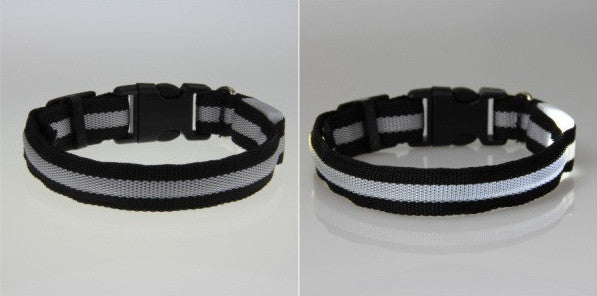 LED Nylon Night Safety Dog Collar - FREE - Only Pay Shipping!