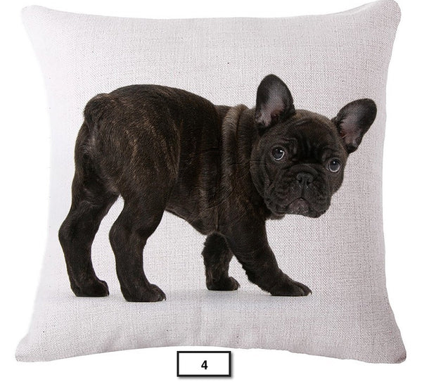 FREE French Bullog Pillow Covers (Just Pay Shipping & Ins)