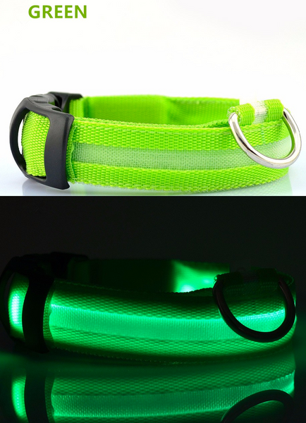 Compawions Doggy Beacon Collar™ - Limited Time - FREE Shipping