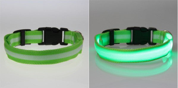 LED Nylon Night Safety Dog Collar - FREE - Only Pay Shipping!