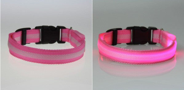 LED Nylon Night Safety Dog Collar - FREE - Only Pay Shipping!