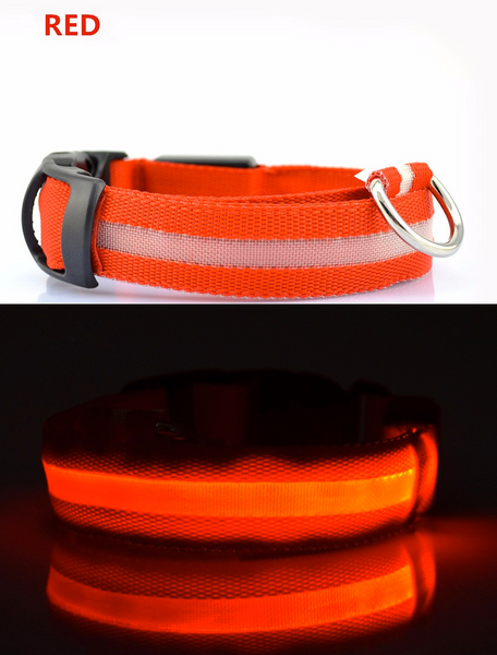 Compawions Doggy Beacon Collar™ - Limited Time - FREE Shipping