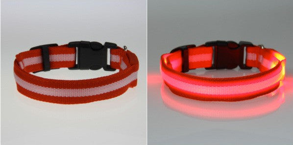 LED Nylon Night Safety Dog Collar - FREE - Only Pay Shipping!