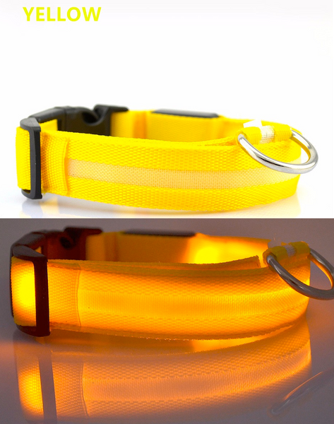 Compawions Doggy Beacon Collar™ - Limited Time - FREE Shipping