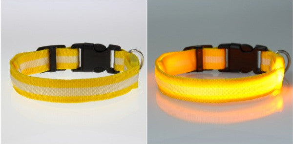 LED Nylon Night Safety Dog Collar - FREE - Only Pay Shipping!
